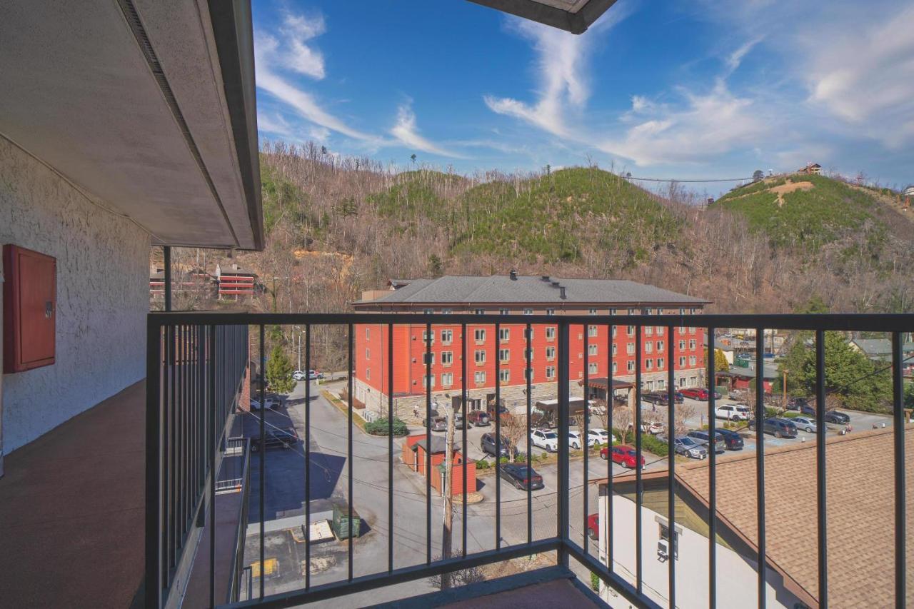 Oak Square - Unit 403 Appartement
