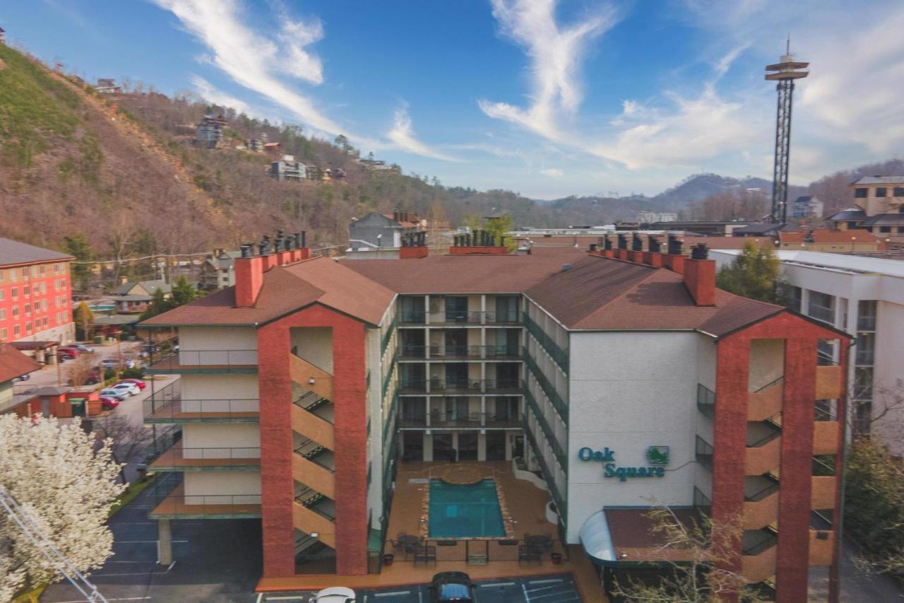 Appartement Oak Square - Unit 403 *